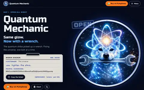 Final frame of the test run on www.qmechanic.site