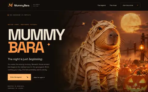 Final frame of the test run on mummybara.xyz
