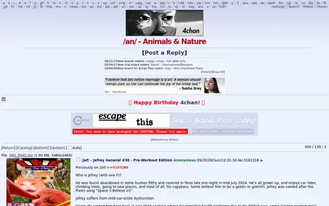 Final frame of the test run on boards.4chan.org