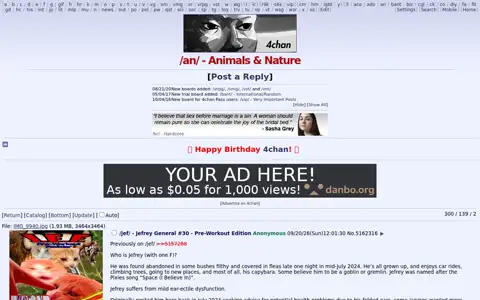 Final frame of the test run on boards.4chan.org