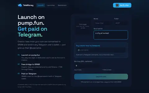 Final frame of the test run on www.telemoney.site